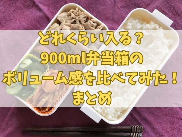 どれくらい入る？900ml弁当箱のボリューム感を比べてみた！