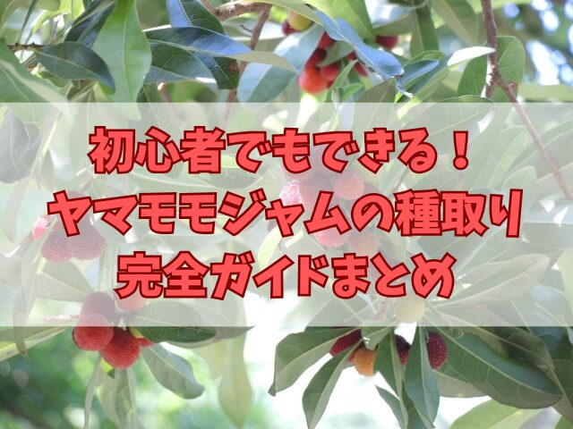 初心者でもできる！ヤマモモジャムの種取り完全ガイド