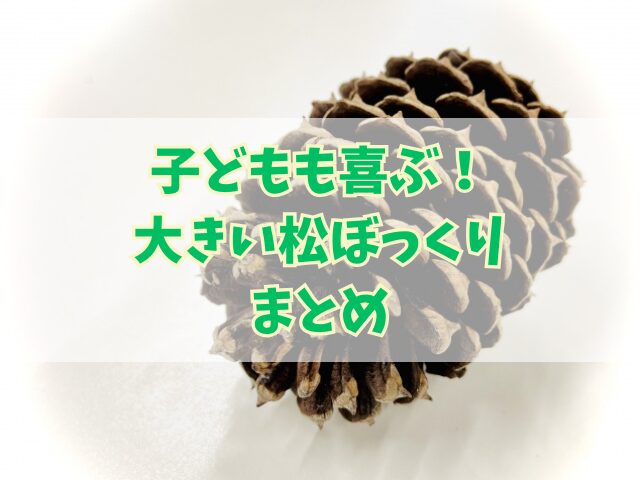子どもも喜ぶ！大きい松ぼっくりが拾える場所まとめ